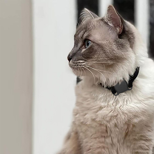 Collar De Seguimiento De Mascotas Dispositivo Antipérdida In