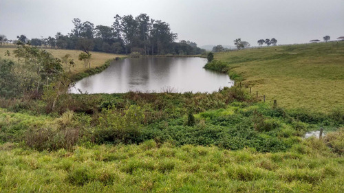 Imagem 3 de 8 de Excelente Fazenda Dupla Aptidão Município Itú