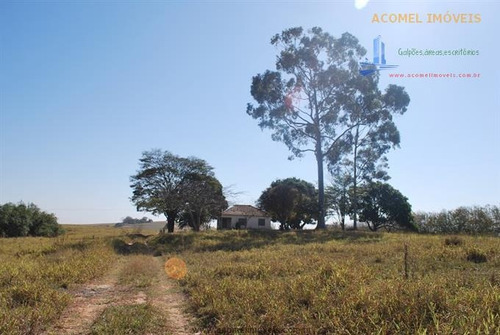 Imagem 13 de 26 de Fazendas À Venda Em Limeira/sp - Compre O Seu Fazendas Aqui! - 1344267