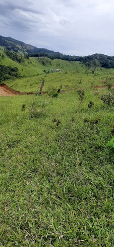 Imagem 5 de 12 de F10: Está Precisando De Paz ? Terreno Em Área Rural