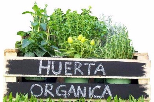 Mi Casa, Mi Huerta (técnicas De Agricultura Urbana)