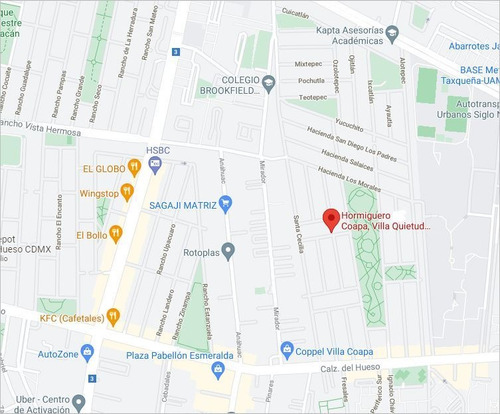 Imagen 3 de 14 de Casa En Venta En Coyoacán Imm