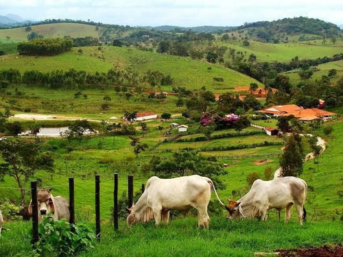 Imagem 1 de 6 de #v#h11 - Traga Sua Família Vem Conhecer Seu Lote