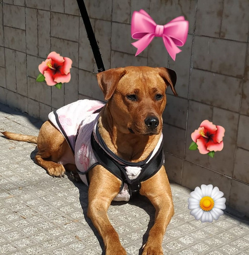 Meli, Belleza Total, Solo 2 Añitos, Leer Y Responder ....!!