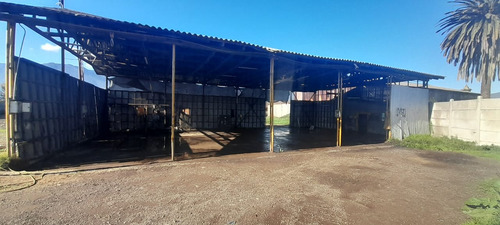 Terreno En Arriendo En La Palma, Quillota