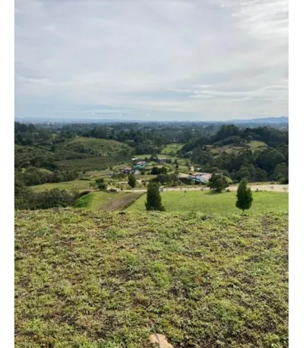 Lote En Llanogrande Hills Rionegro