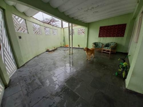 Imagem 2 de 14 de Casa Com 2 Quartos Lado Praia Em Bairro Comercial - Itanhaém