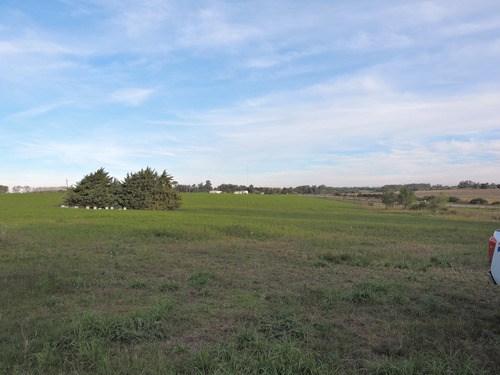 Venta 10 Ha Campo En Zona San Pedro