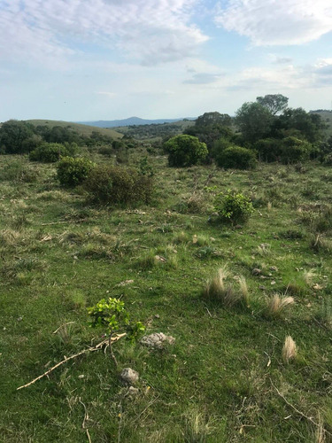 Campo Con Cerro En Ruta 60