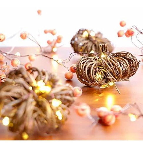 Xiwu Pumpkin String Lights Batería Powered Lights Ljk7a