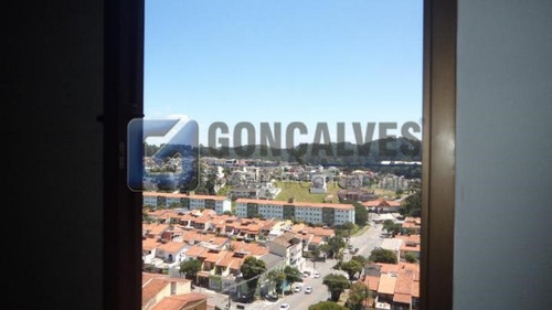 Imagem 5 de 15 de Venda Apartamento Sao Bernardo Do Campo Parque Terra Nova Ii - 1033-1-43315