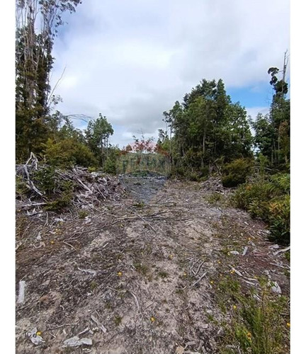 Parcela Con Acceso A Río Y Rol Propio