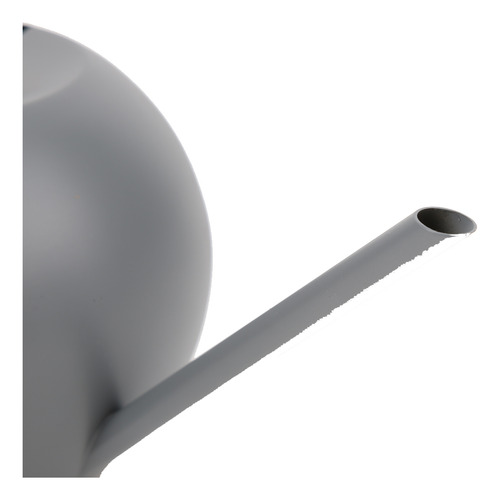 1l Stainless Steel Watering Can Long Spout