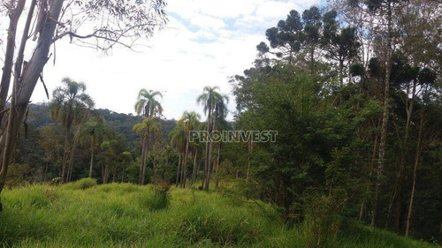 Imagem 7 de 12 de Área À Venda, 21786 M² Por R$ 1.100.000,00 - Jardim Nossa Senhora Das Graças - Cotia/sp - Ar0479