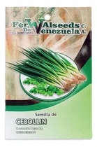 Comprar Semillas Cebollín 3g