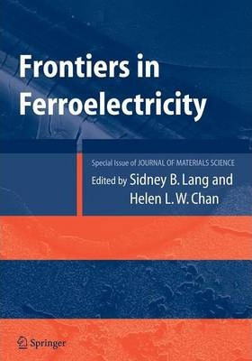 Libro Frontiers Of Ferroelectricity - Sidney B. Lang