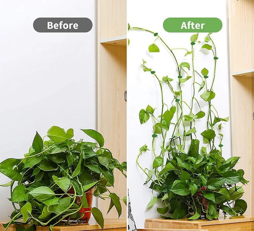 Gancho De Pared Autoadhesivo Para Fijar Plantas Trepadoras K