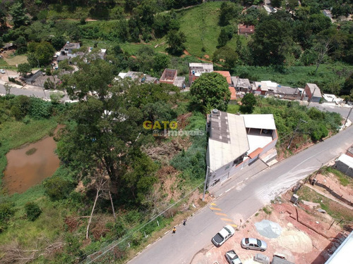 Terreno Para Venda Em Santana De Parnaíba, Chácara Do Solar Ii (fazendinha) - 20900_1-1749162