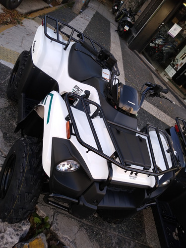 Imagen 9 de 15 de Kawasaki Brute Force 300 ( No Honda Fourtrax Grizzly )