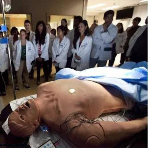 Maniqui Escuela Enfermeria Medicina Cuerpo Humano Rcp