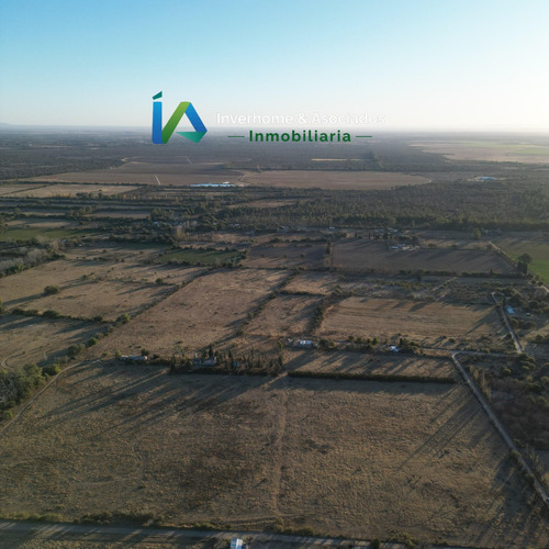 Campo En San Pedro