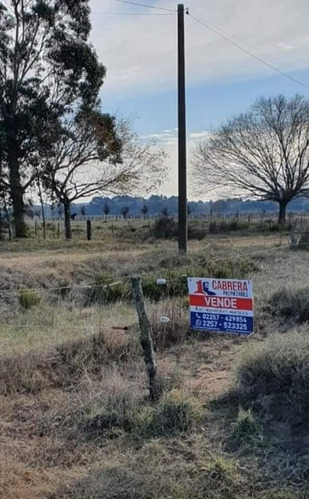 Lote  En Paraje Pavon Gral Lavalle. Se Escuchan Propuestas!