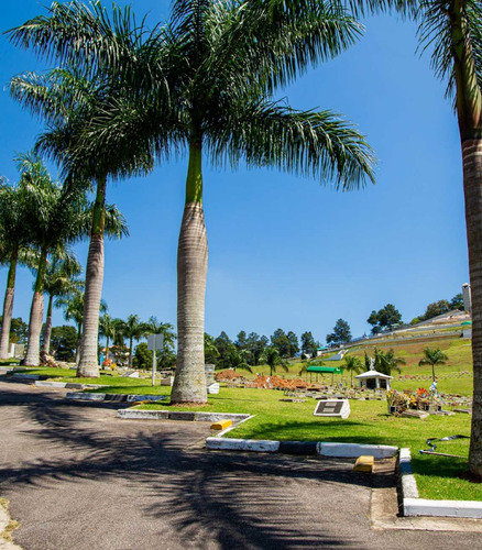 Jazigo Com 3 Lugares Cemitério Alphacampus
