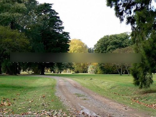 Estancia Benquerencia Farm Club - San Miguel Del Monte - Pcia De Buenos Aires