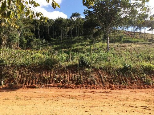 Imagem 2 de 4 de Lote - Cristais - Ref: 5759 - V-anp5759