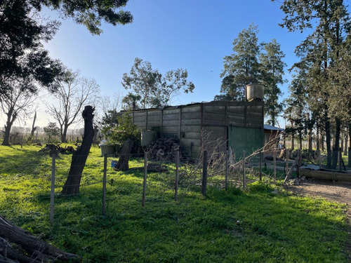 18 Hectareas En San Miguel Del Monte