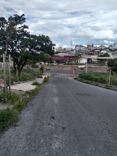Lote - 1001