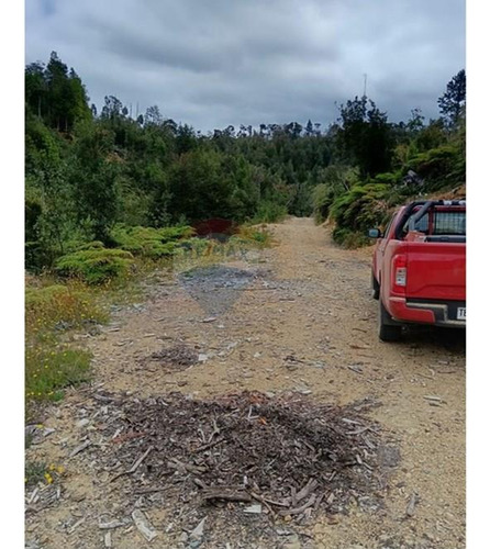 Parcela Con Acceso A Río Y Rol Propio