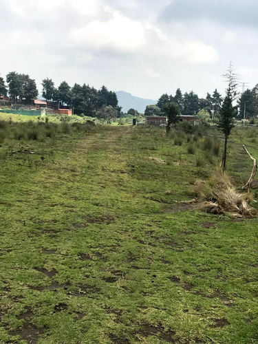 Terreno Rústico En Residencial Los Cedros