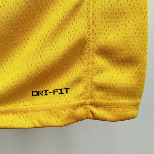 Jersey Nba Lakers Lebron James Icon