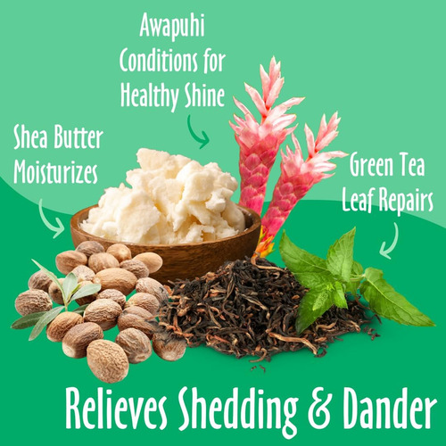 Earthbath, Green Tea & Awapuhi Shed Control - ChampĂș Y Acond