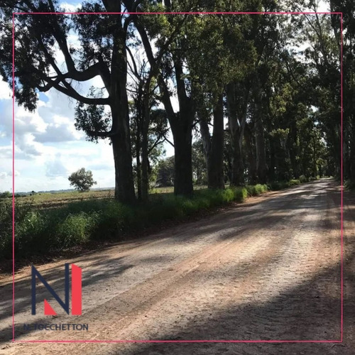 Imagen 3 de 5 de Terreno En Venta En Villa De Campo Los Tres Pinos