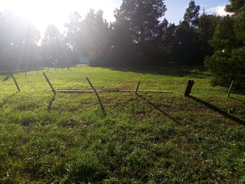Imagen 8 de 11 de El Tejado - Excelente Lote