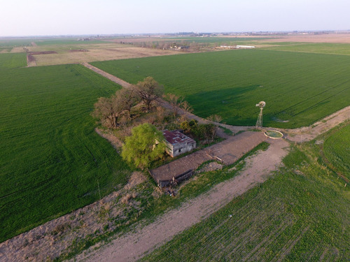 Venta Campo Pilar Santa, Fe. 33 Hectáreas Agrícolas.