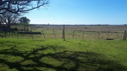 Imagen 12 de 30 de Venta - Campo En Cardales - Bayugar Negocios Inmobiliarios
