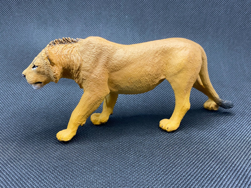 Figura Safari Ltd - Leão Macho Adolescente - 13cm Comprim.