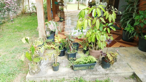 Imagem 16 de 17 de Casa A Venda No Embu-guaçu - Condomínio Interlagos Sul - 14066