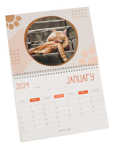 Bolas Con Forma De Calendario Para Gatos, 2024, 12 Meses, Di