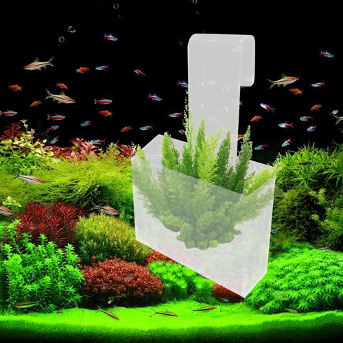 // Taza De Planta De Acuario Con Gancho, Contenedor