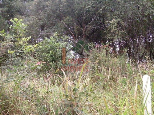 Imagem 4 de 7 de Terreno Em Condominio - Ref: 2733 - V-2733