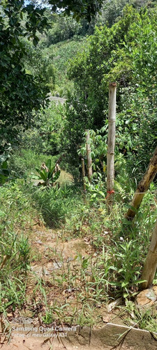 Chácara Em Raposo Tavares Itariri Sp. No Precinho...