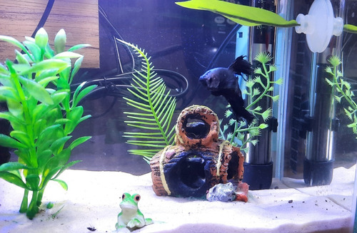 Imagem 3 de 8 de Enfeite Aquário Barril Duplo Toca Do Betta Decoração Plantas
