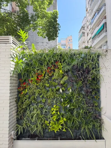 Paisajismo Y Jardinería
