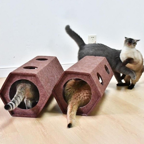 Brinquedo De TĂșnel Para Gatos Brinquedo De Arranhar Para L