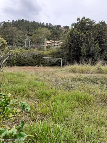 Imagem 2 de 5 de Terreno Em Condomínio Para Venda Em Teresópolis, Albuquerque - Tr945_2-1057819