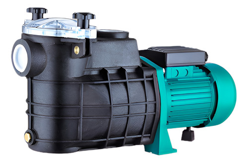 Bomba Pileta Piscina Fema Con Filtro De Pelo 1hp